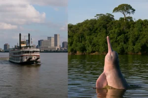 Mississippi vs. Amazon: Epic Americas River Journey